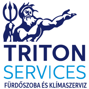 Triton services logo